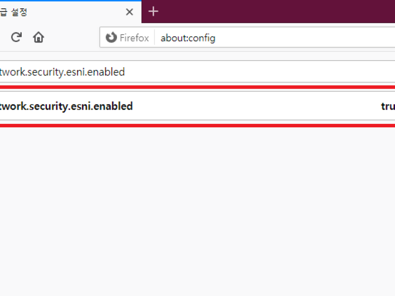 esni.png